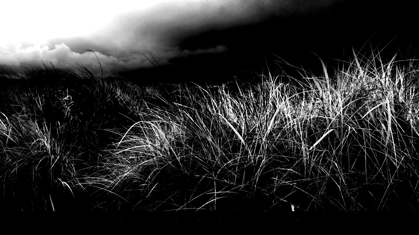 В ожидании шторма обои