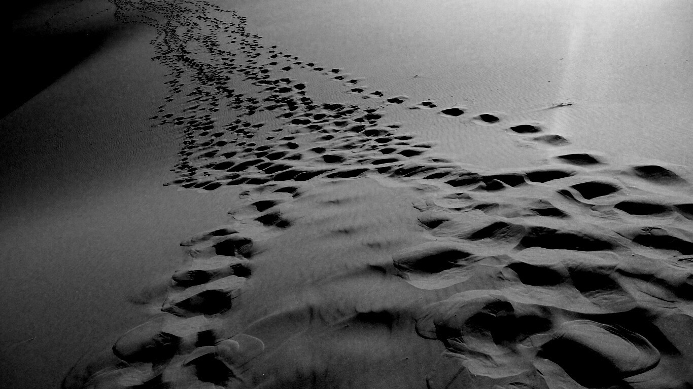 Следы в пустыне обои