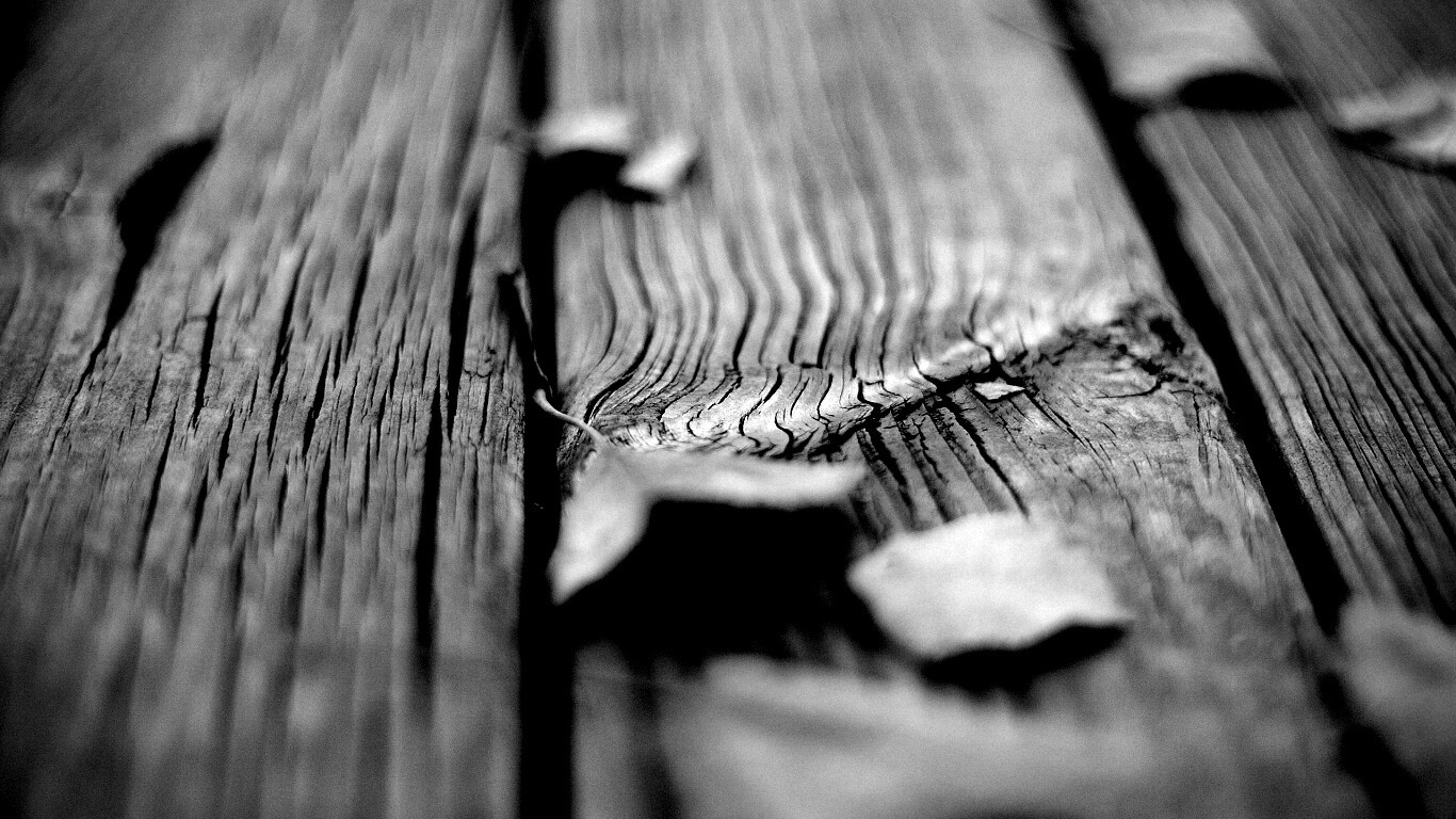 Листья на дощатом полу обои