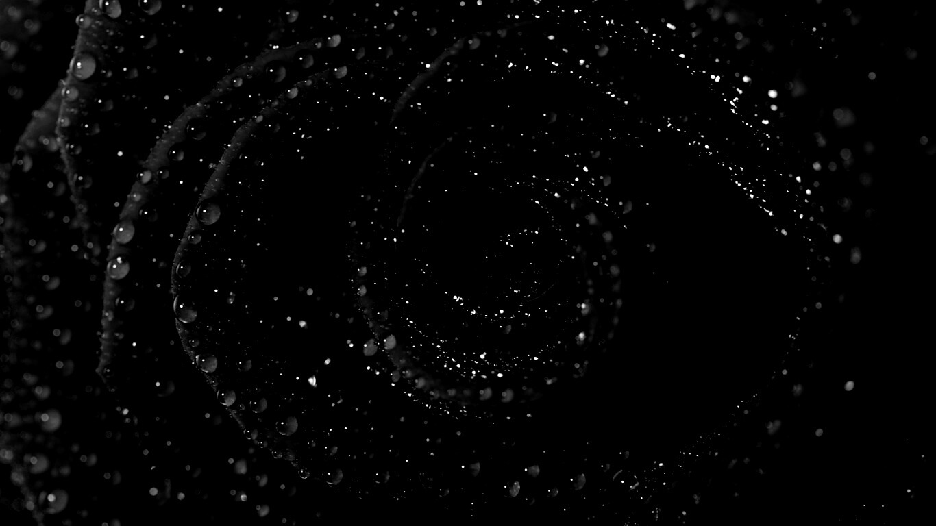 Красная роза обои