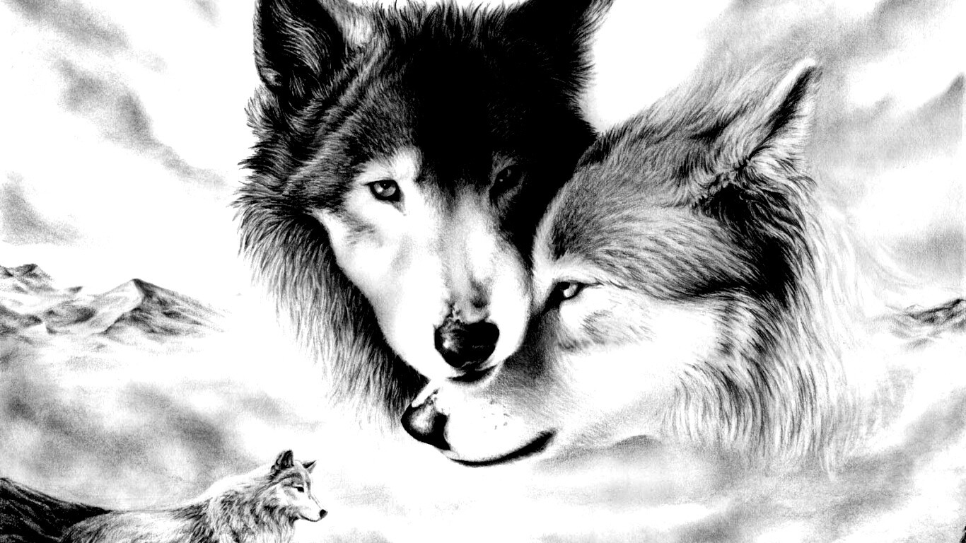Волки обои