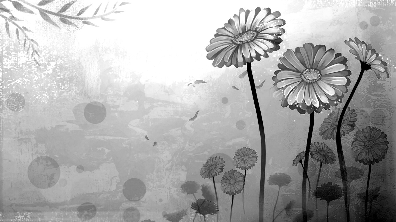 Векторные ромашки обои