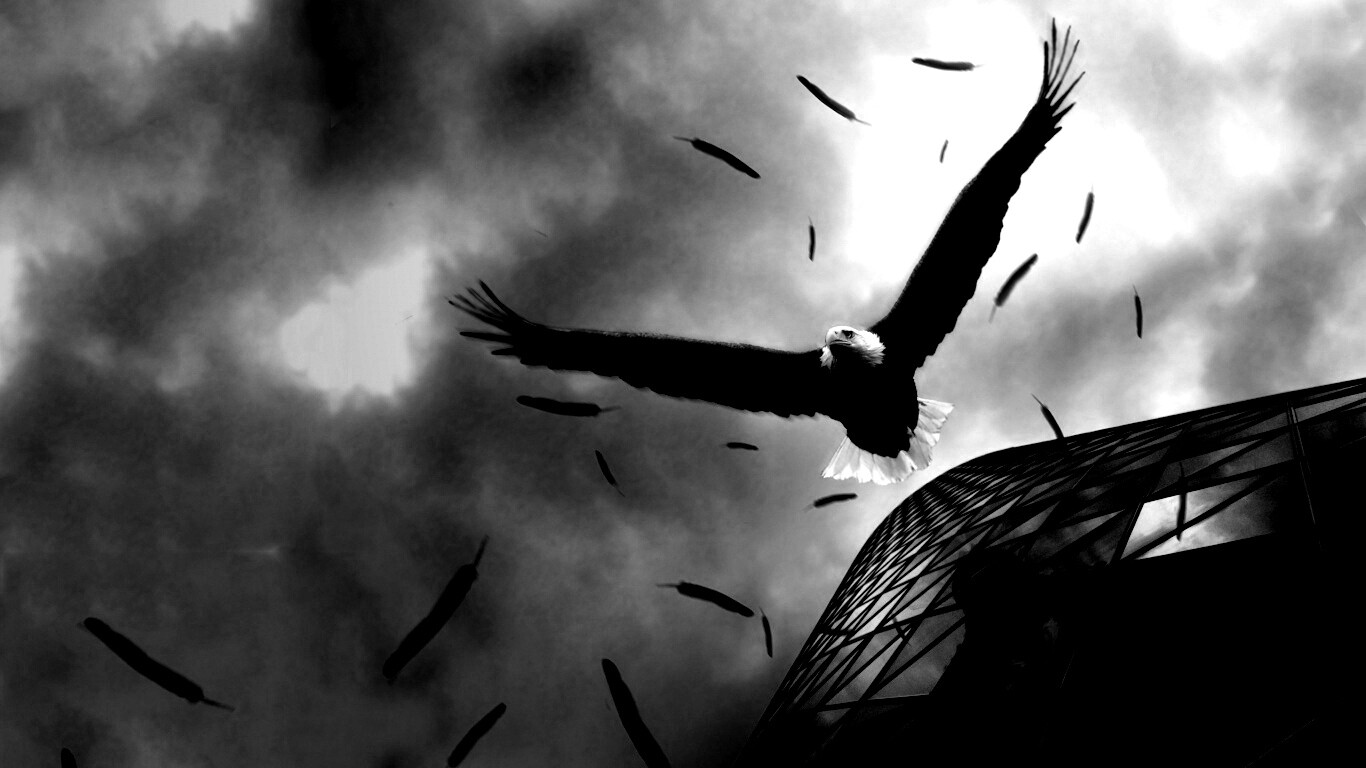 Орлиный полет обои