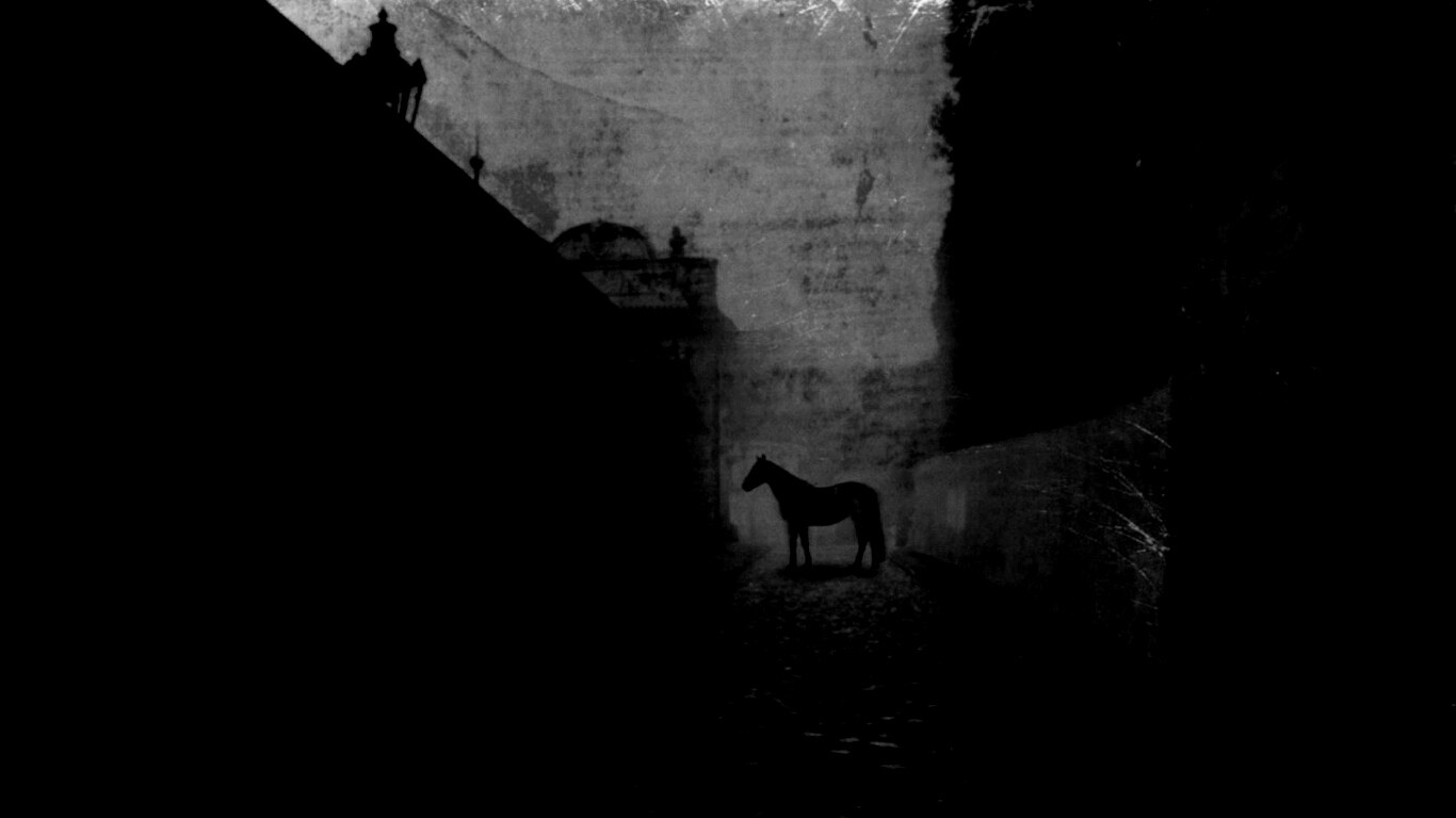 Лошадь в тумане обои