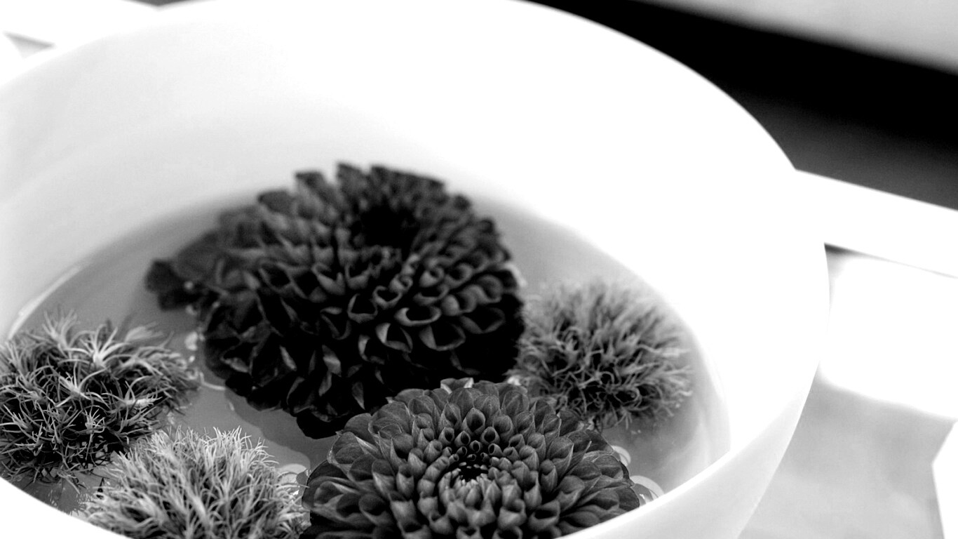 Чаша с цветами обои