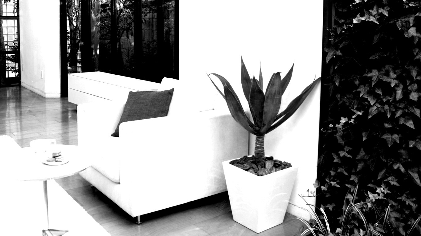 Белое кресло обои