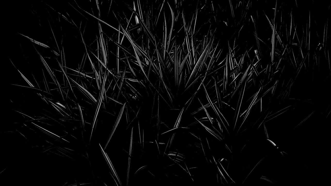 Дикая трава обои