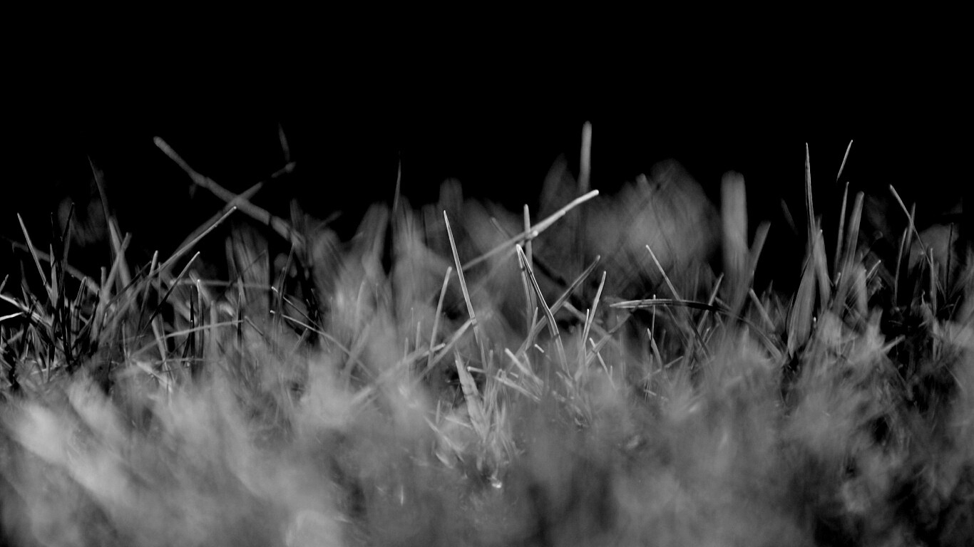 Играя солнечным светом обои