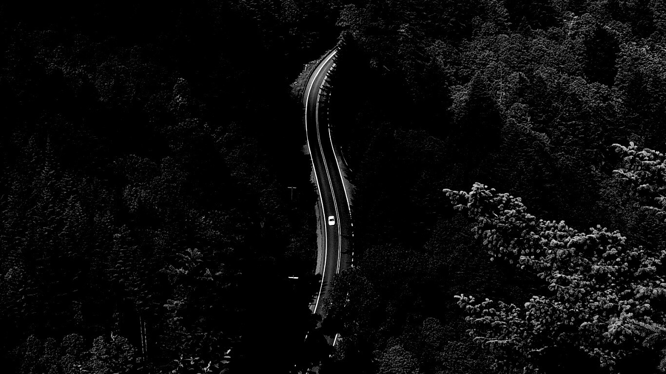 Лесная трасса обои