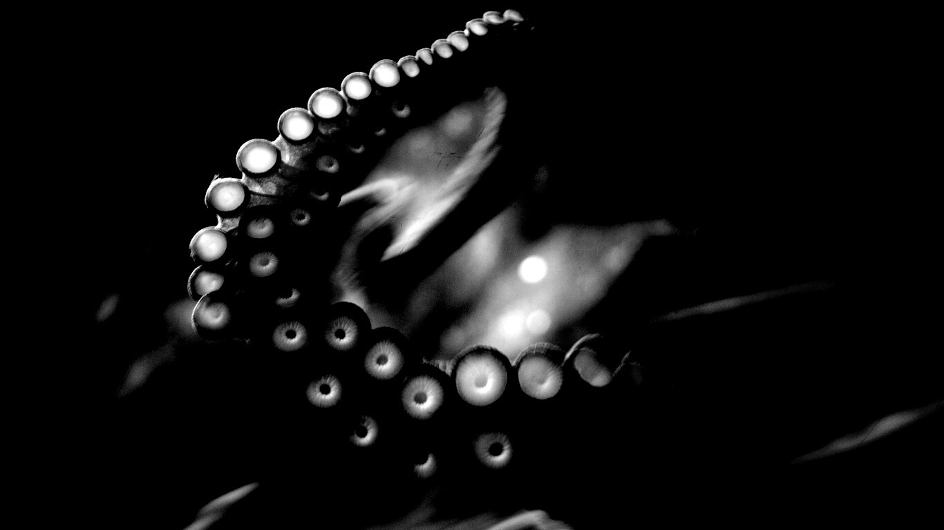 Щупальце обои