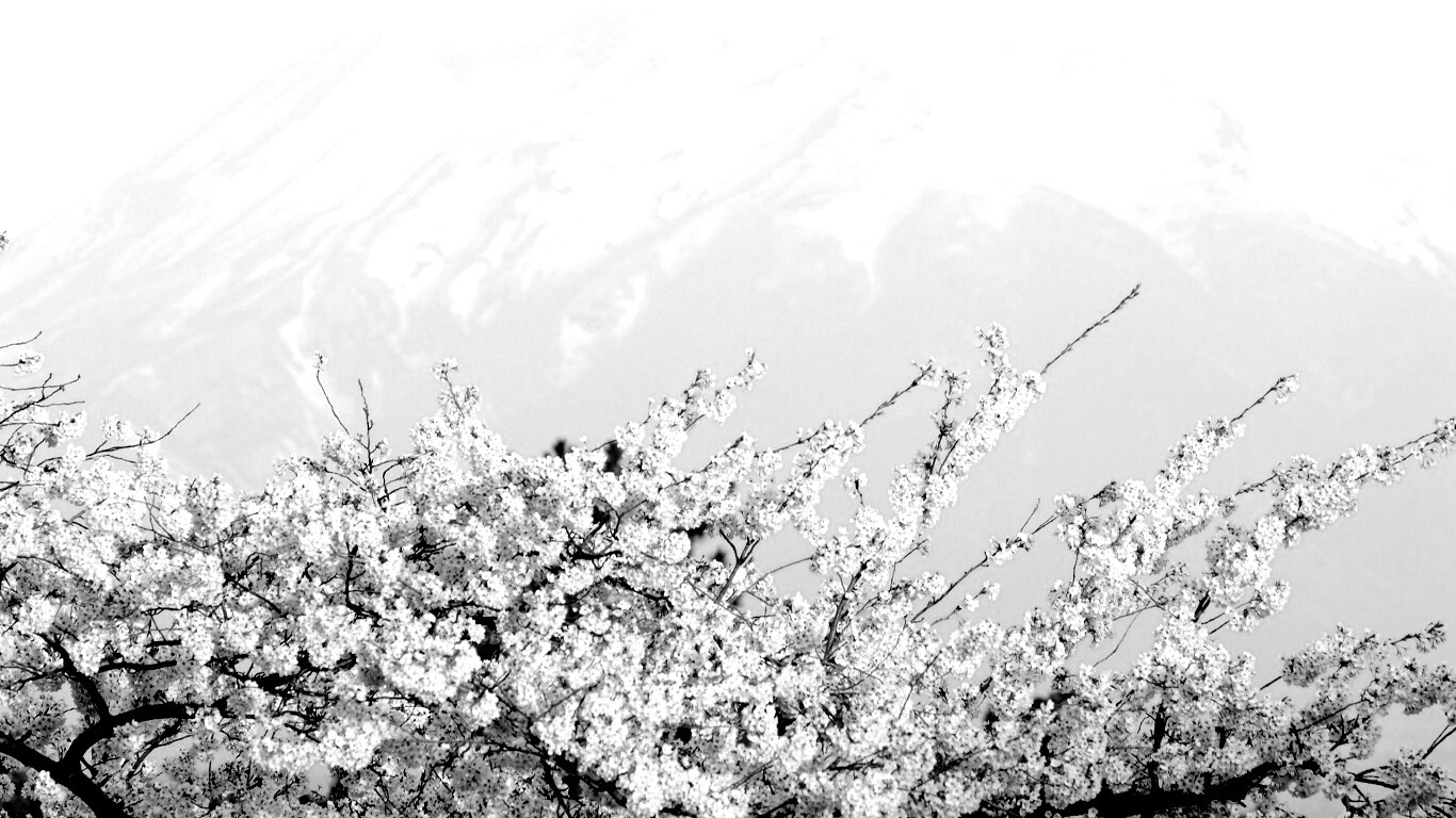 Цветение вишни в горах обои