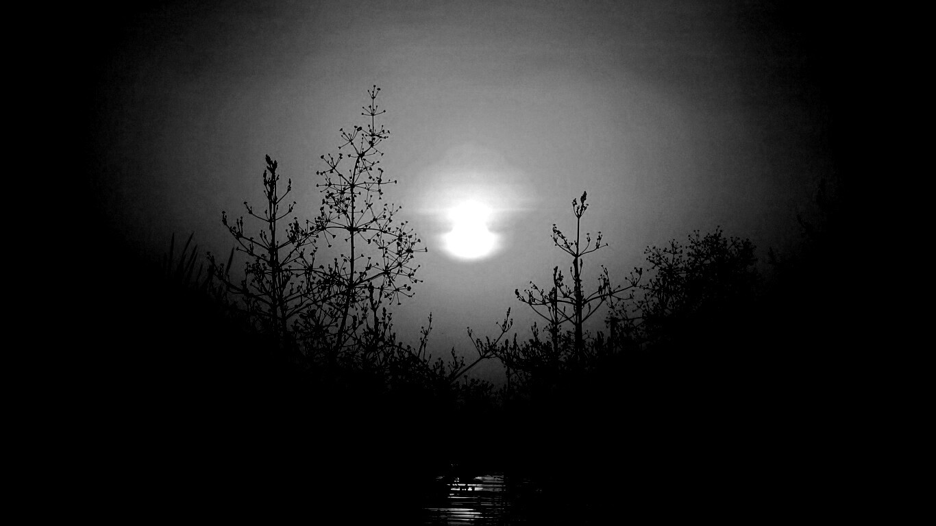 Доисторическое утро обои