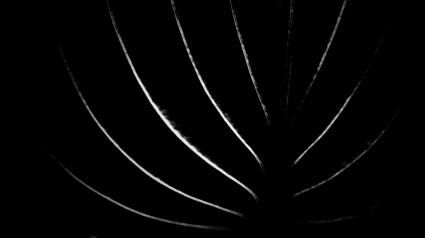 Неоновый лист обои