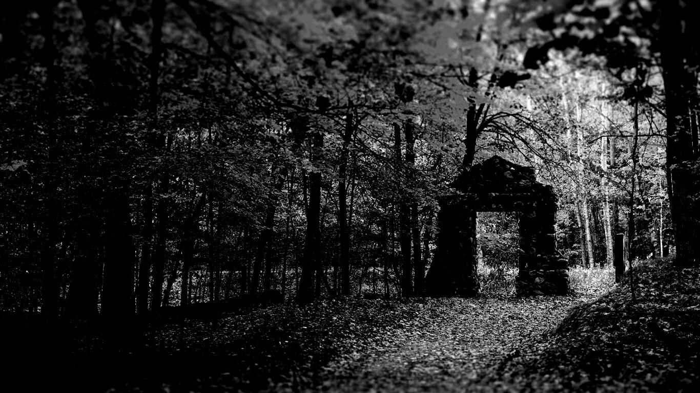 Каменная арка в осеннем лесу обои