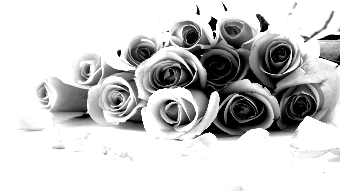 Букет роз обои