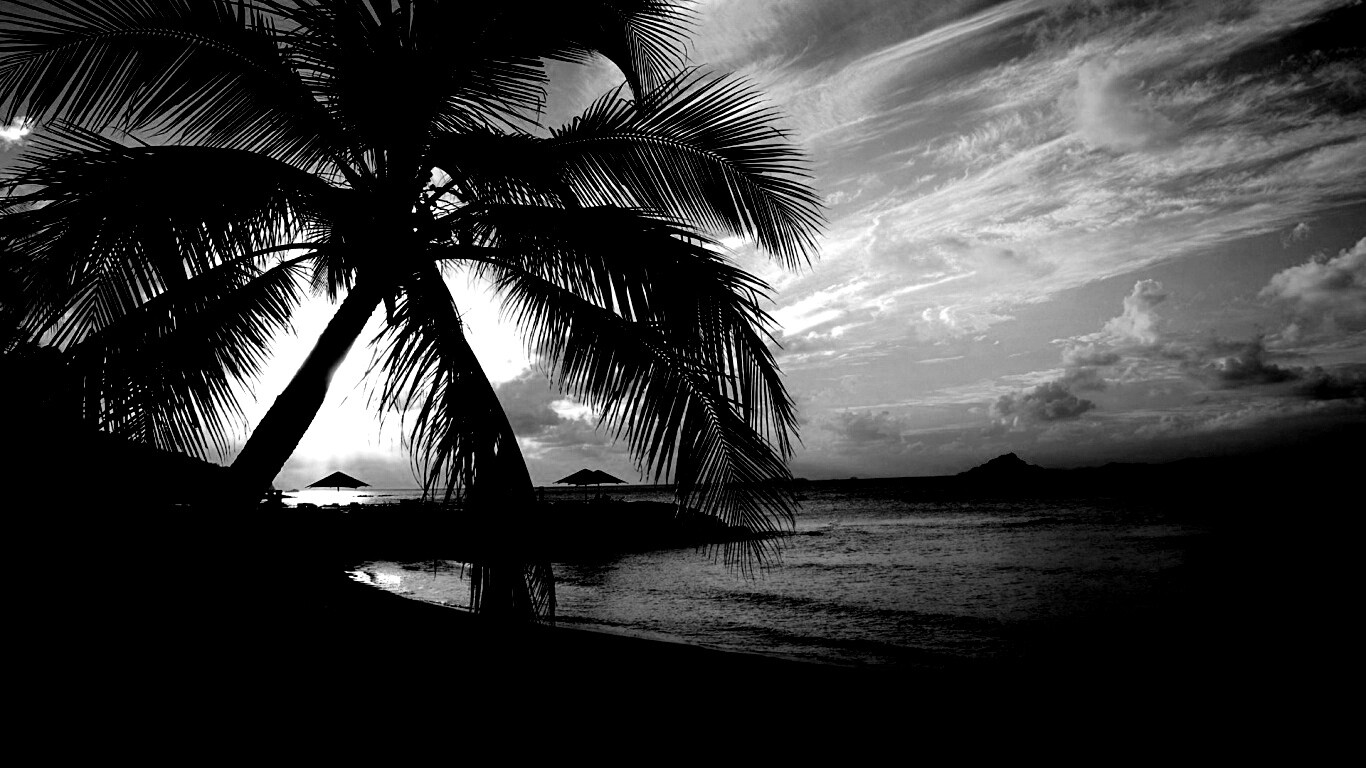 Пляж на закате обои