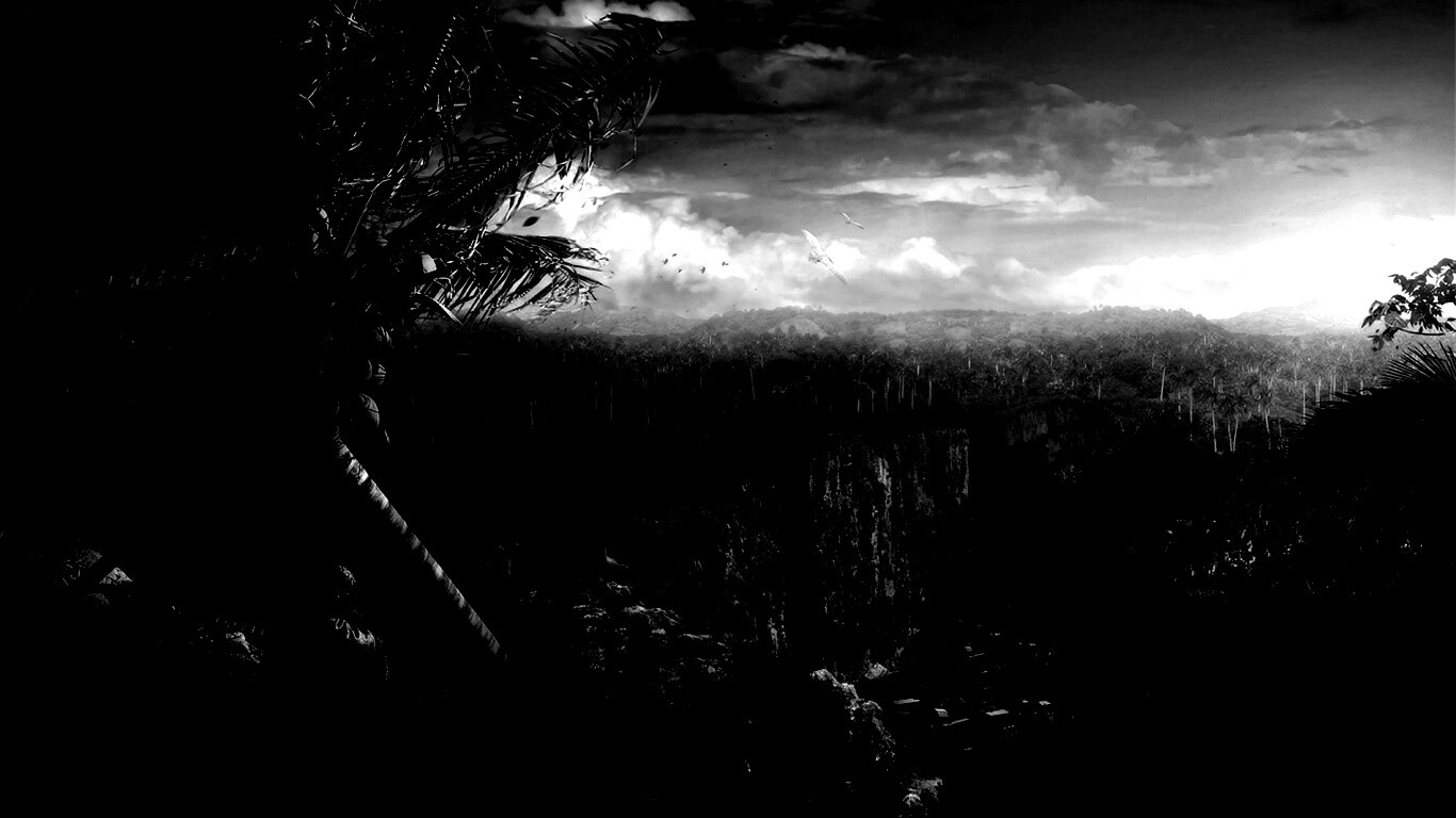 Вид на джунгли обои