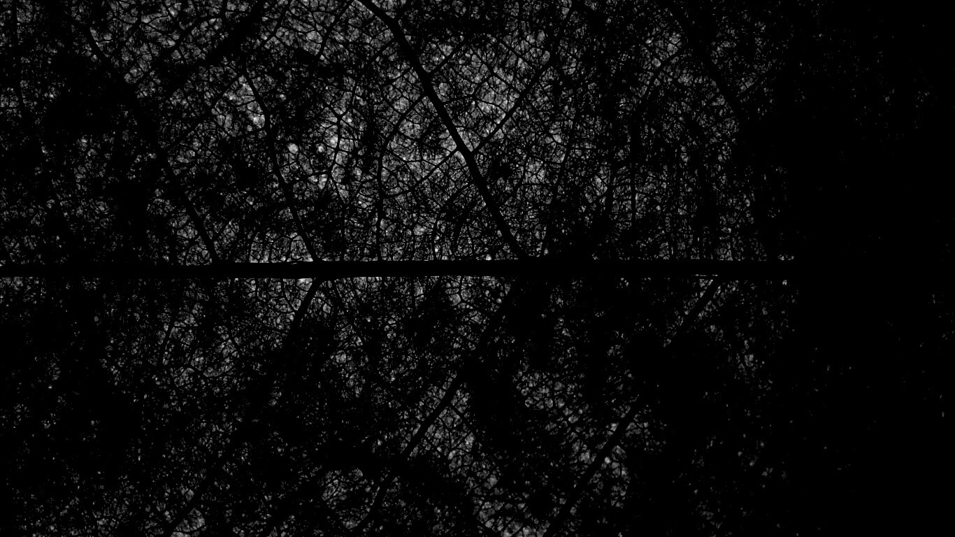 Свечение зеленого листа в макро обои