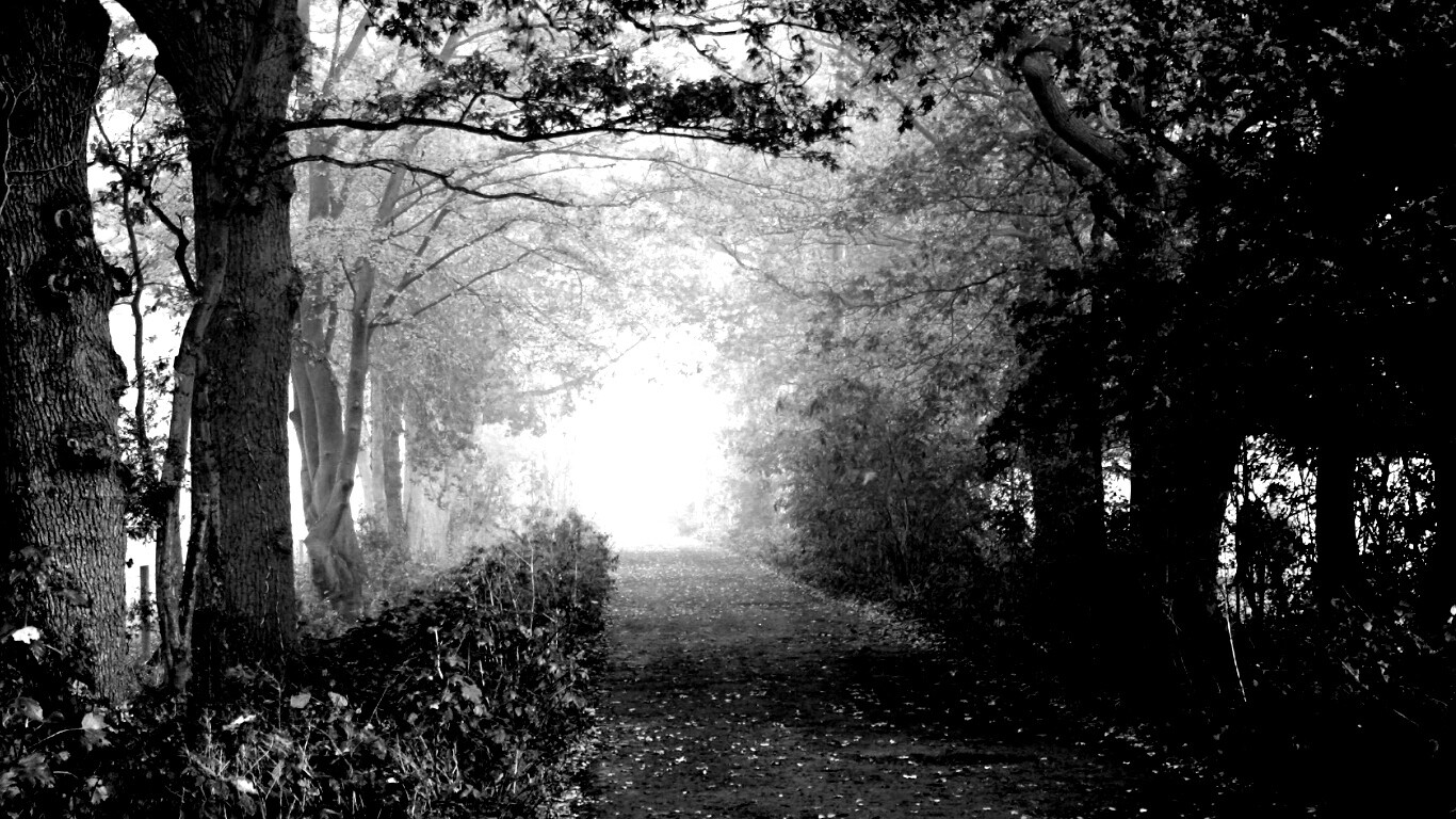 Парковая дорожка обои