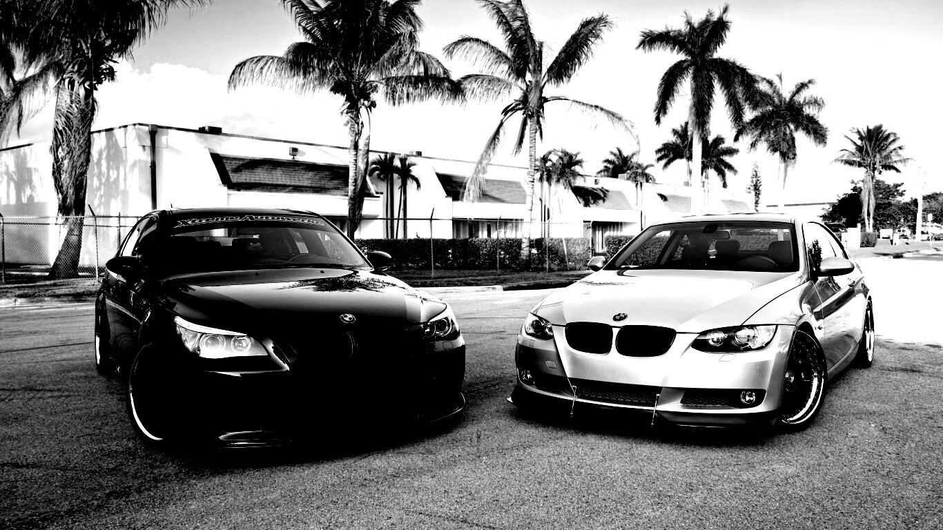 Две БМВ обои