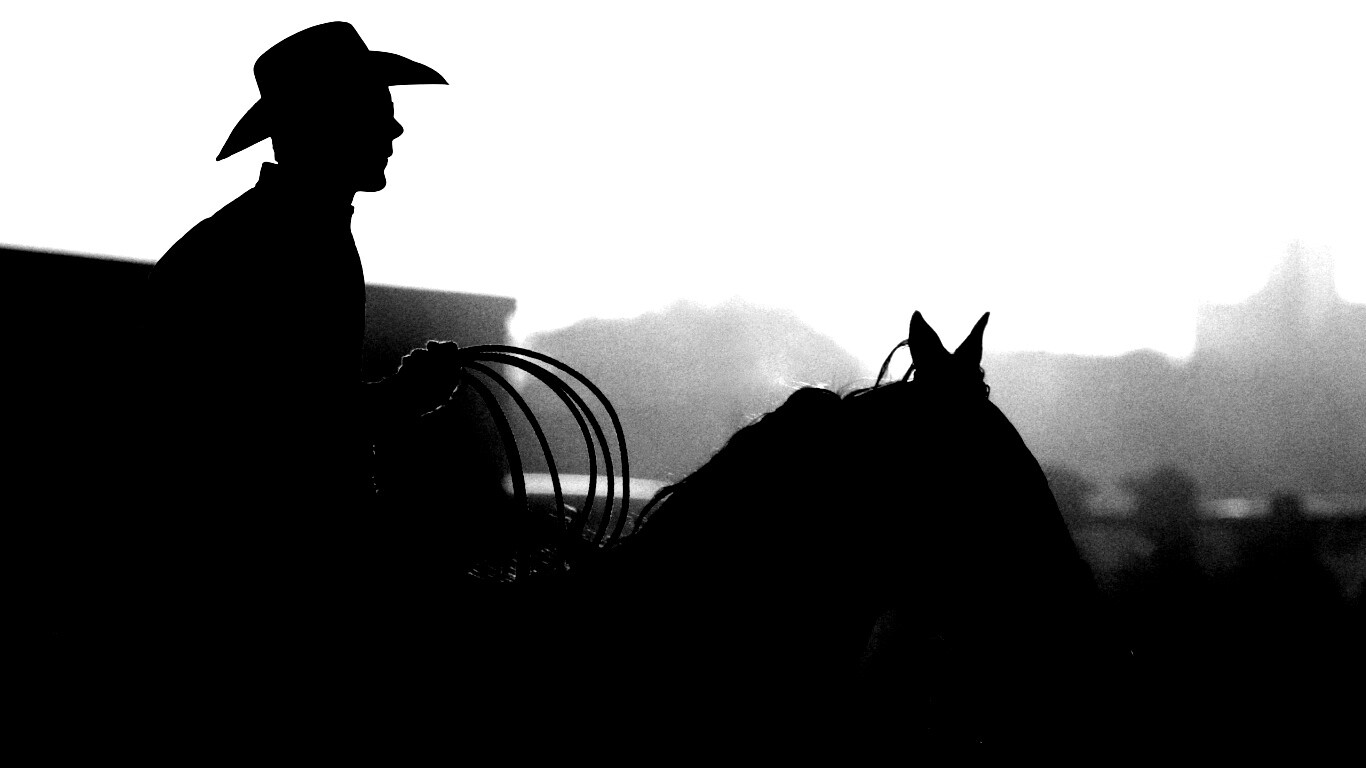 Ковбой с лассо на коне обои