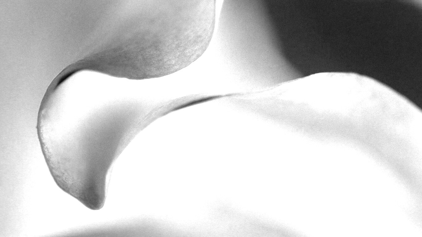 Оттенки природы обои