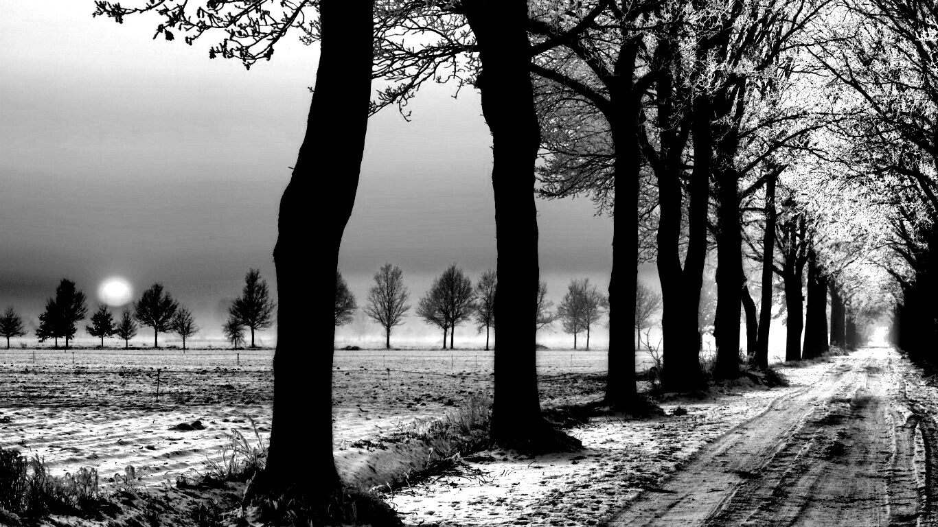 Морозное утро обои