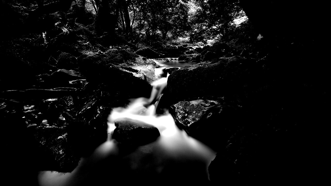 Речной поток в лесу обои