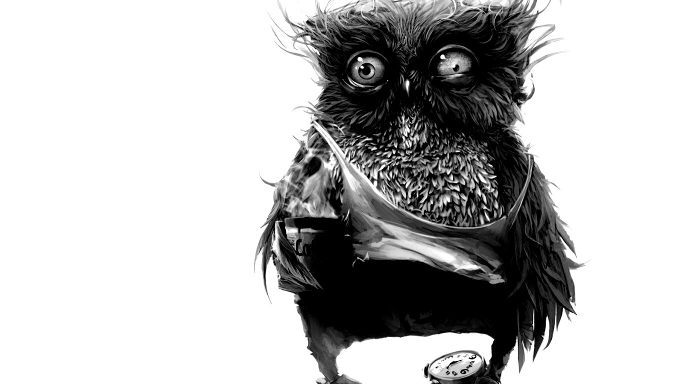 Не спящая сова обои