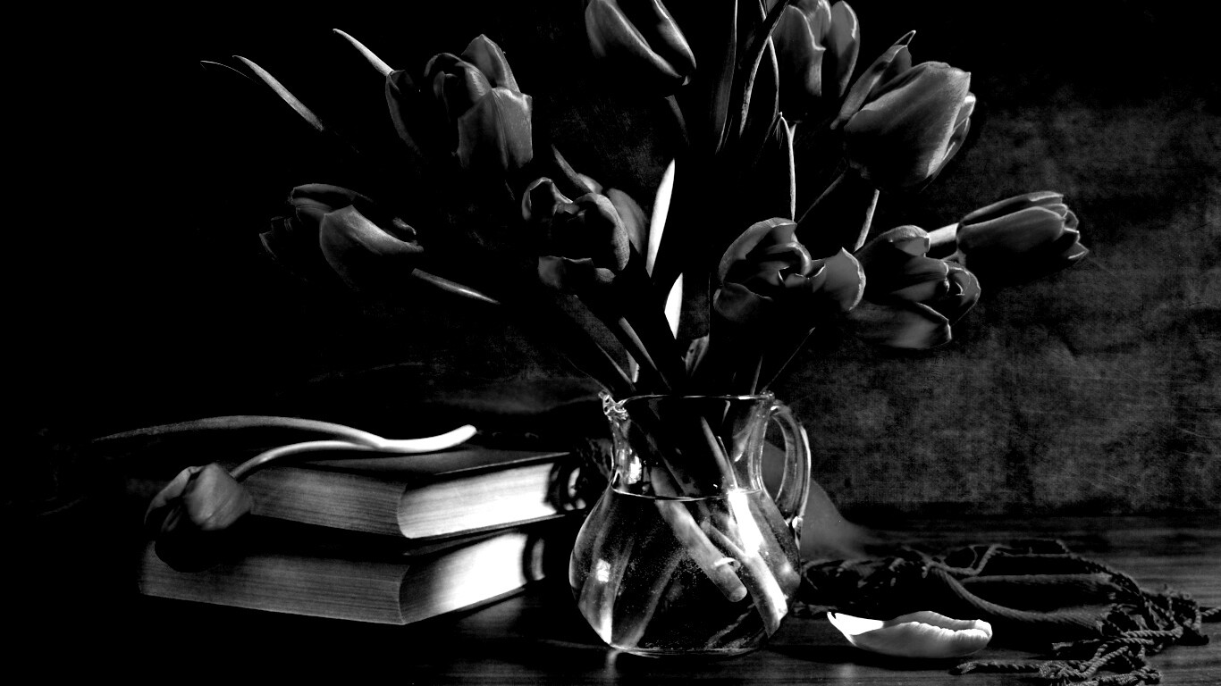 Букет красных тюльпанов обои