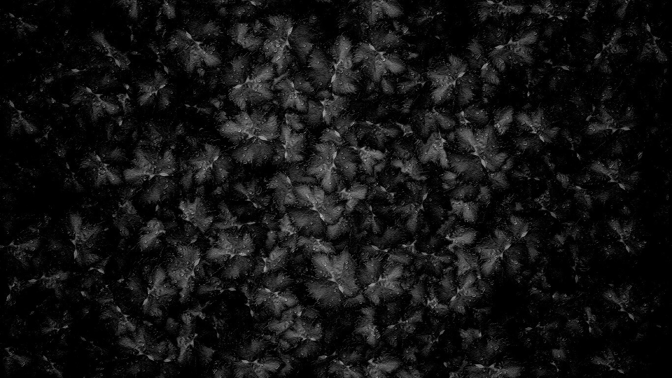 Осенние листья обои