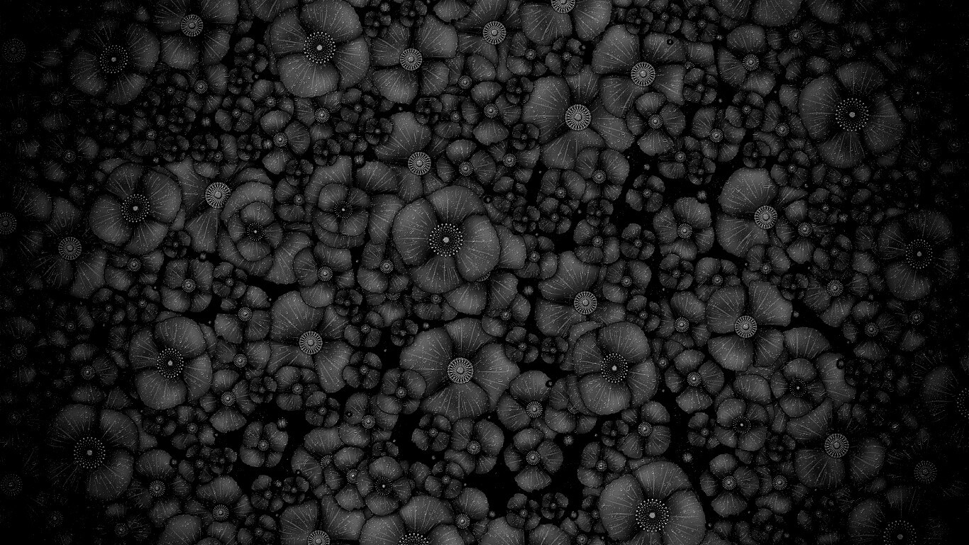 Рисунко с красными цветами обои