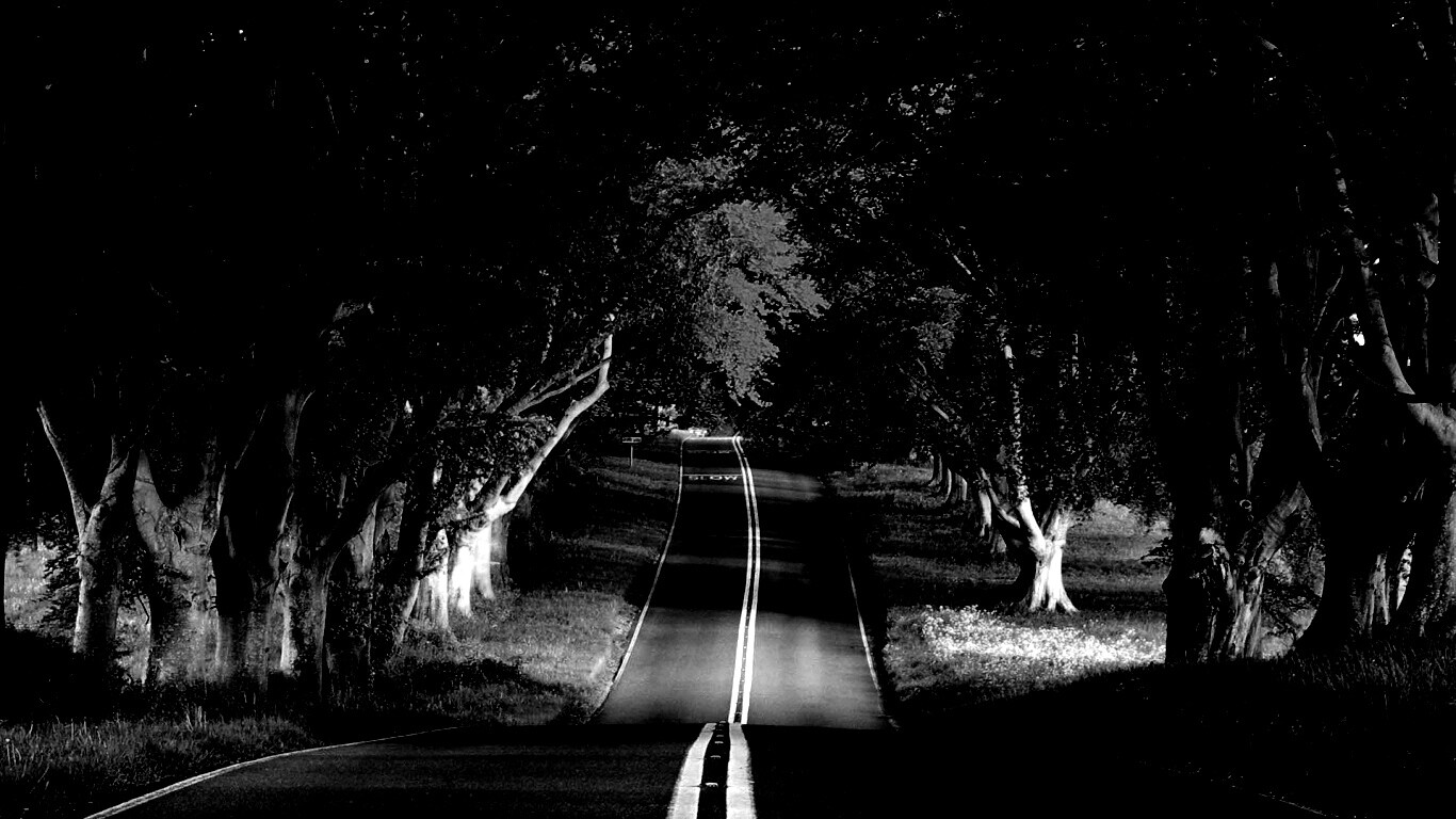 Дорога через лес обои