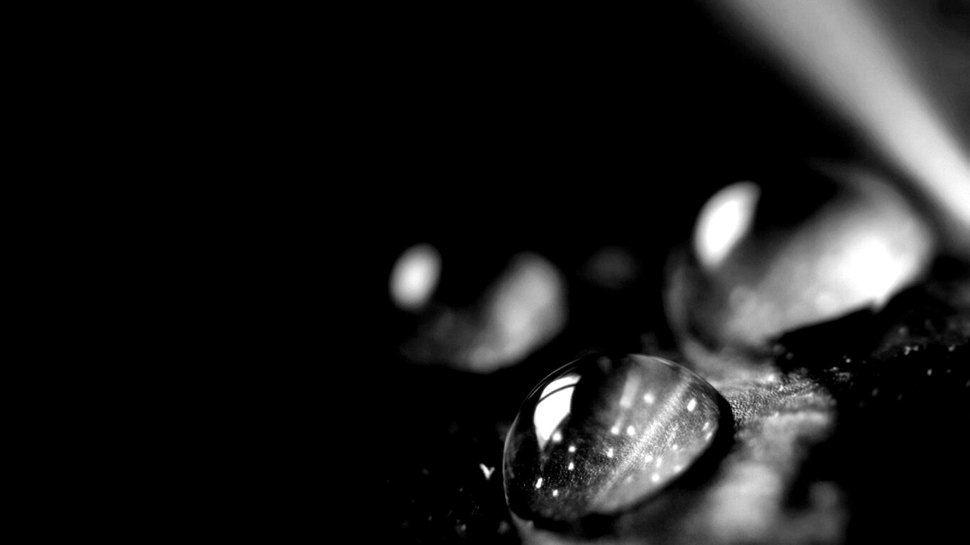 Зеленые капли росы обои