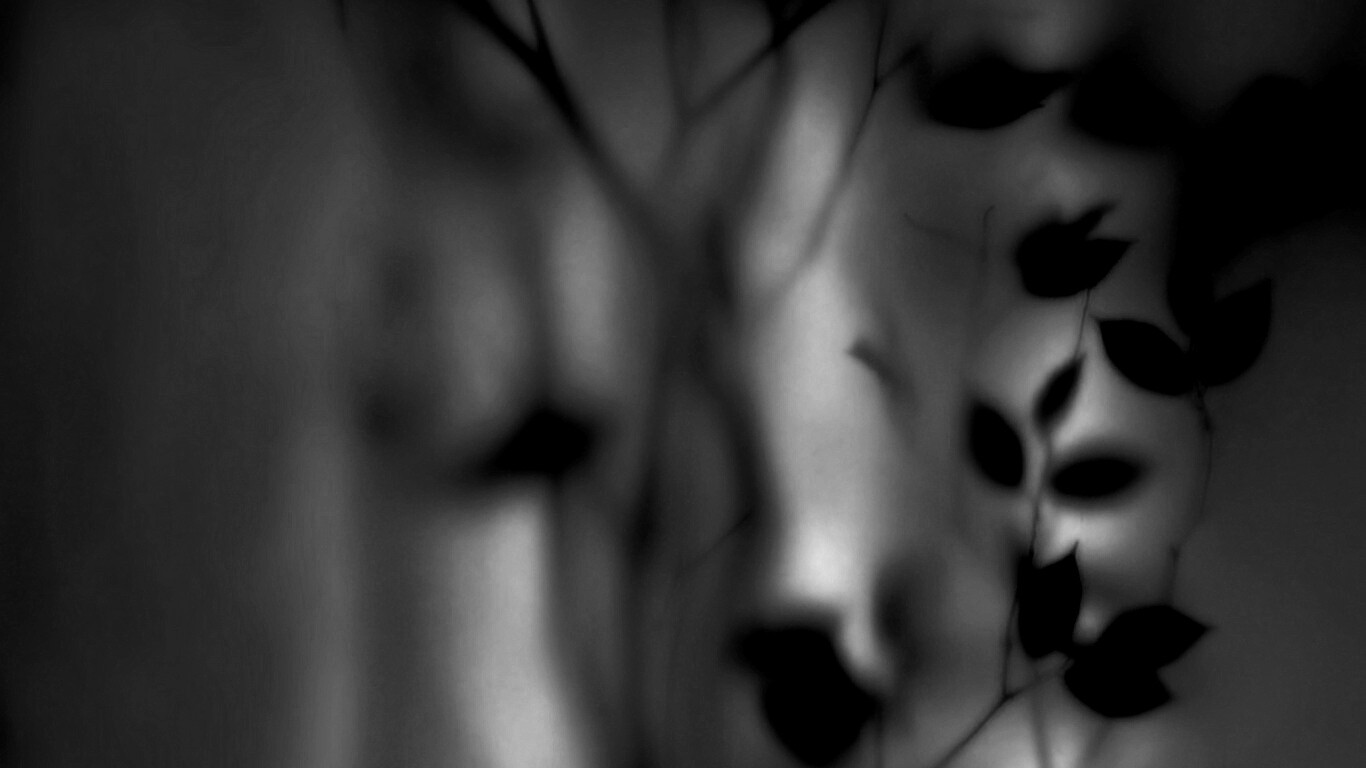 Зелень за стеклом обои