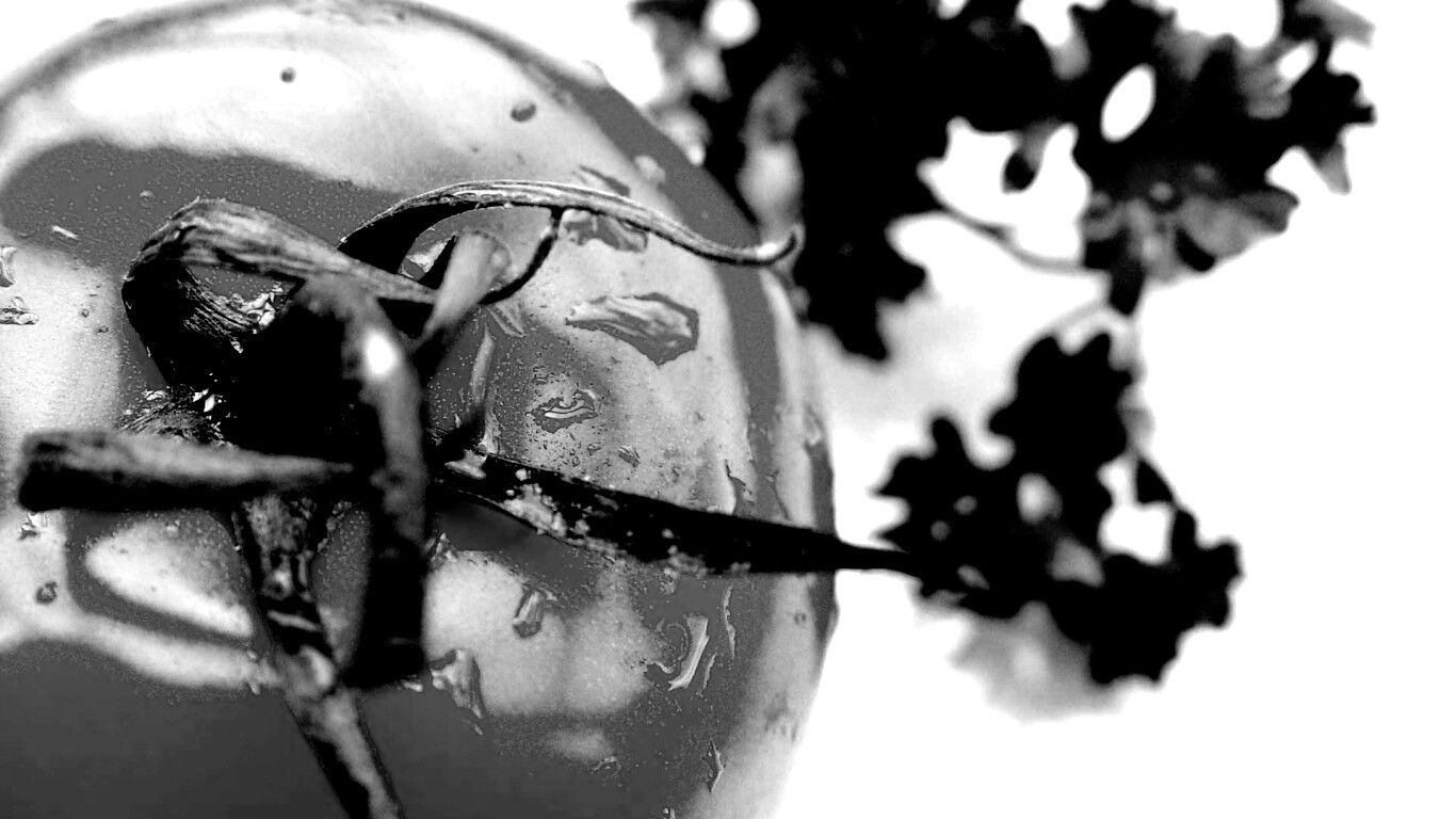 Свежая помидорка обои