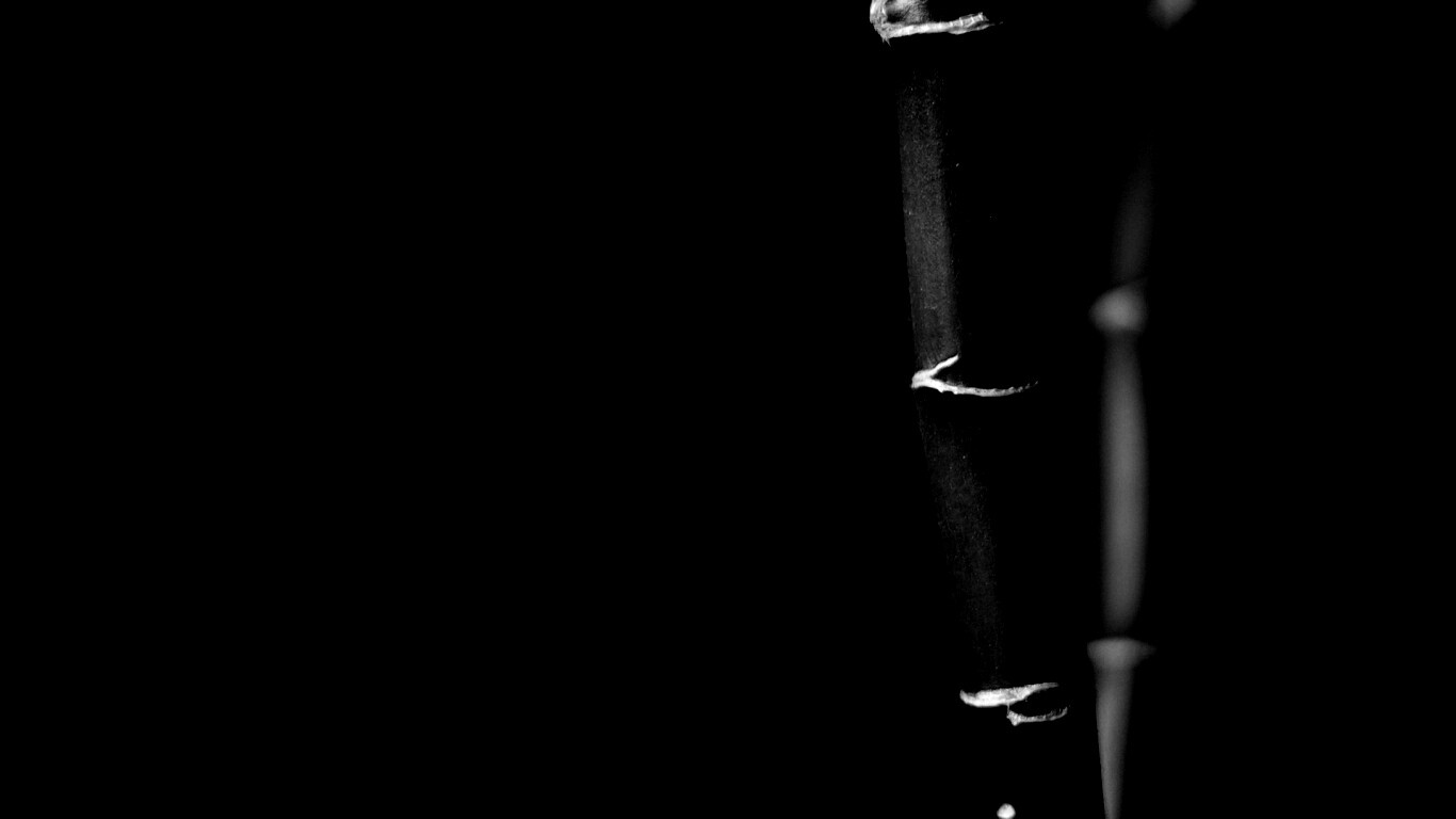 Макро фото стебля бамбука обои