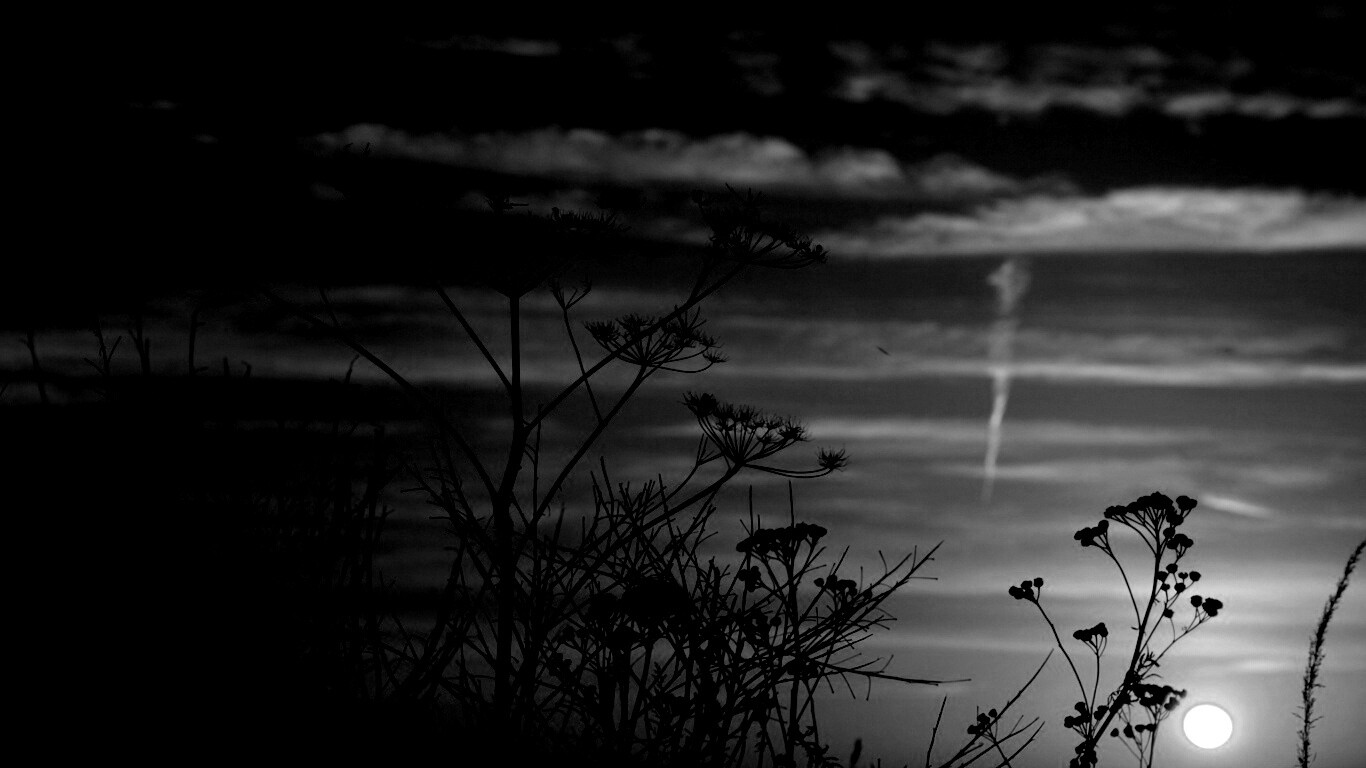 Степной закат обои