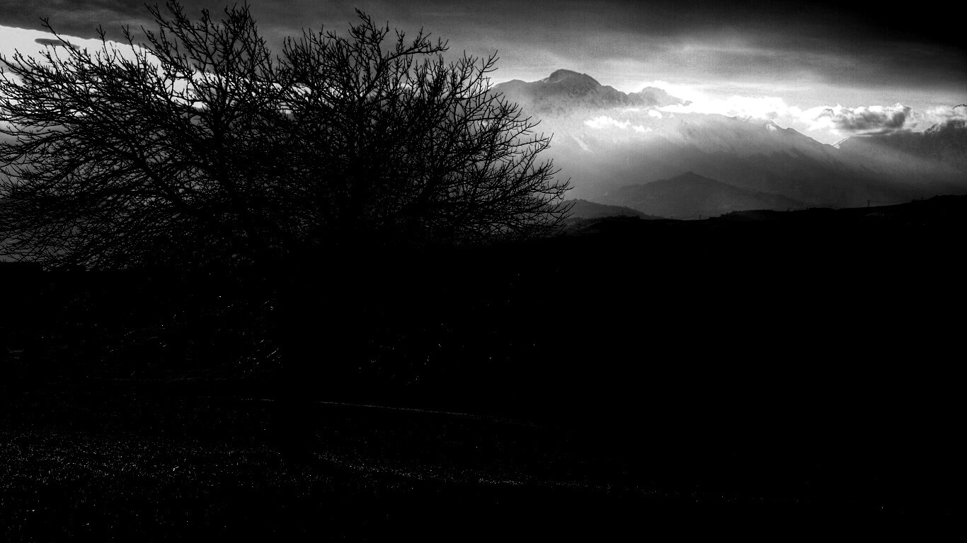 Дерево и горы обои