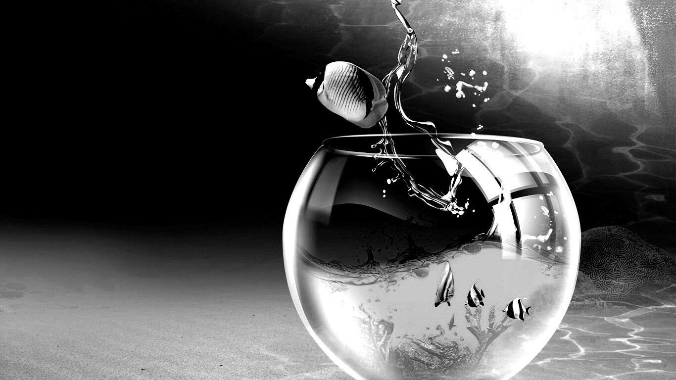 Аквариум с рыбками обои