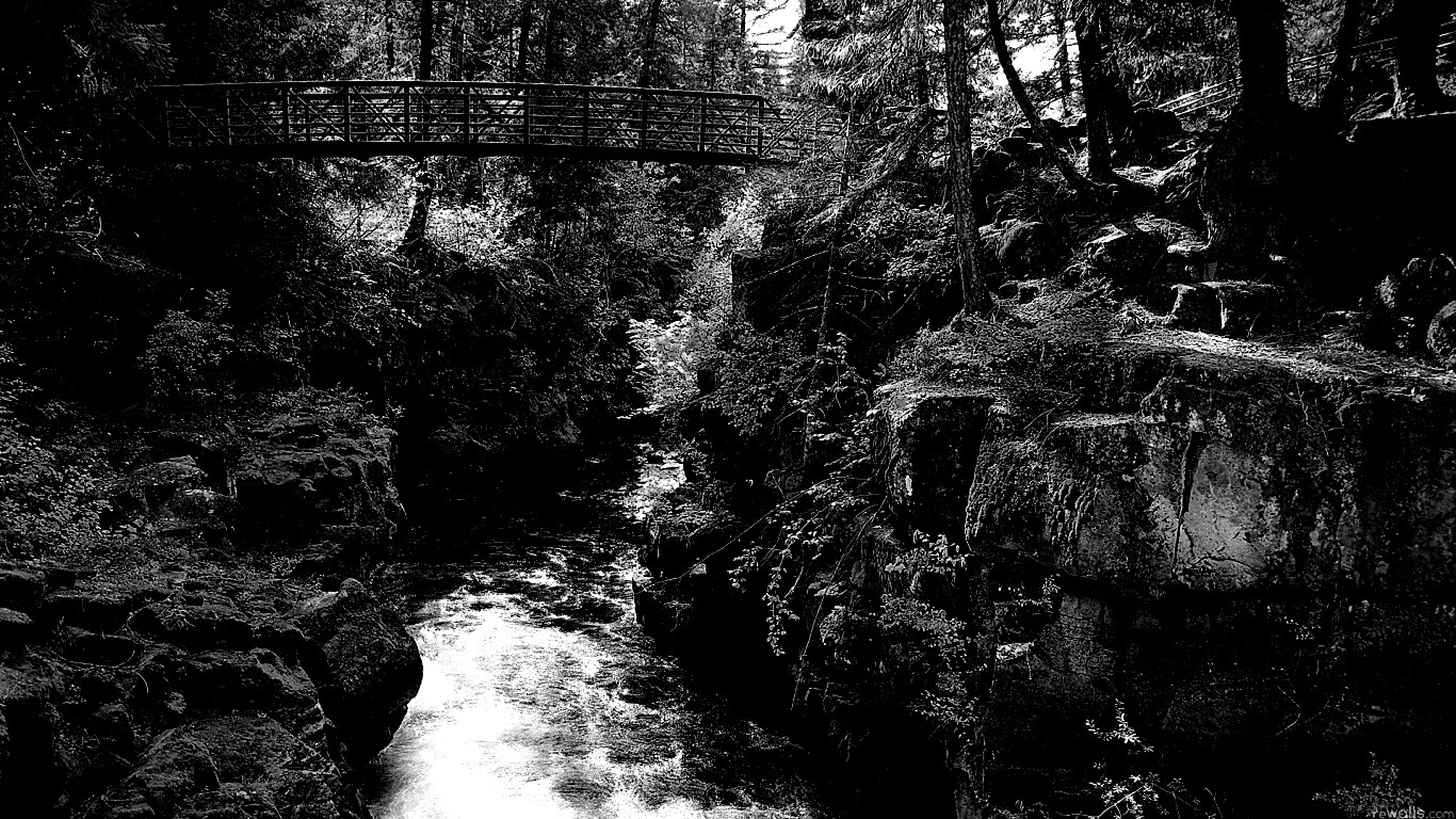 Мостик через реку в лесу обои