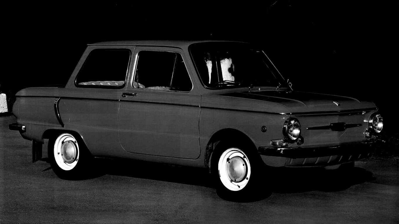 Оранжевый ушастый запорожец обои