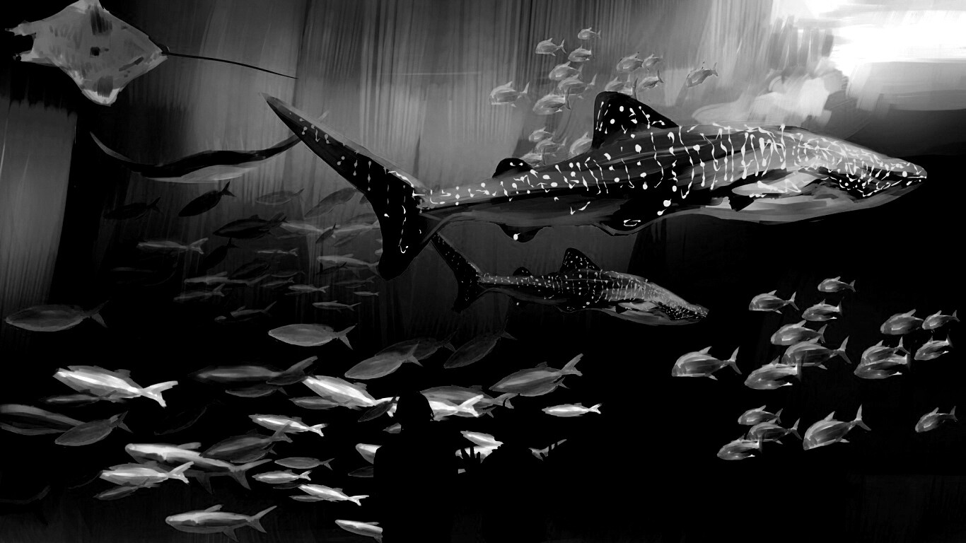 Двое в океанариуме обои