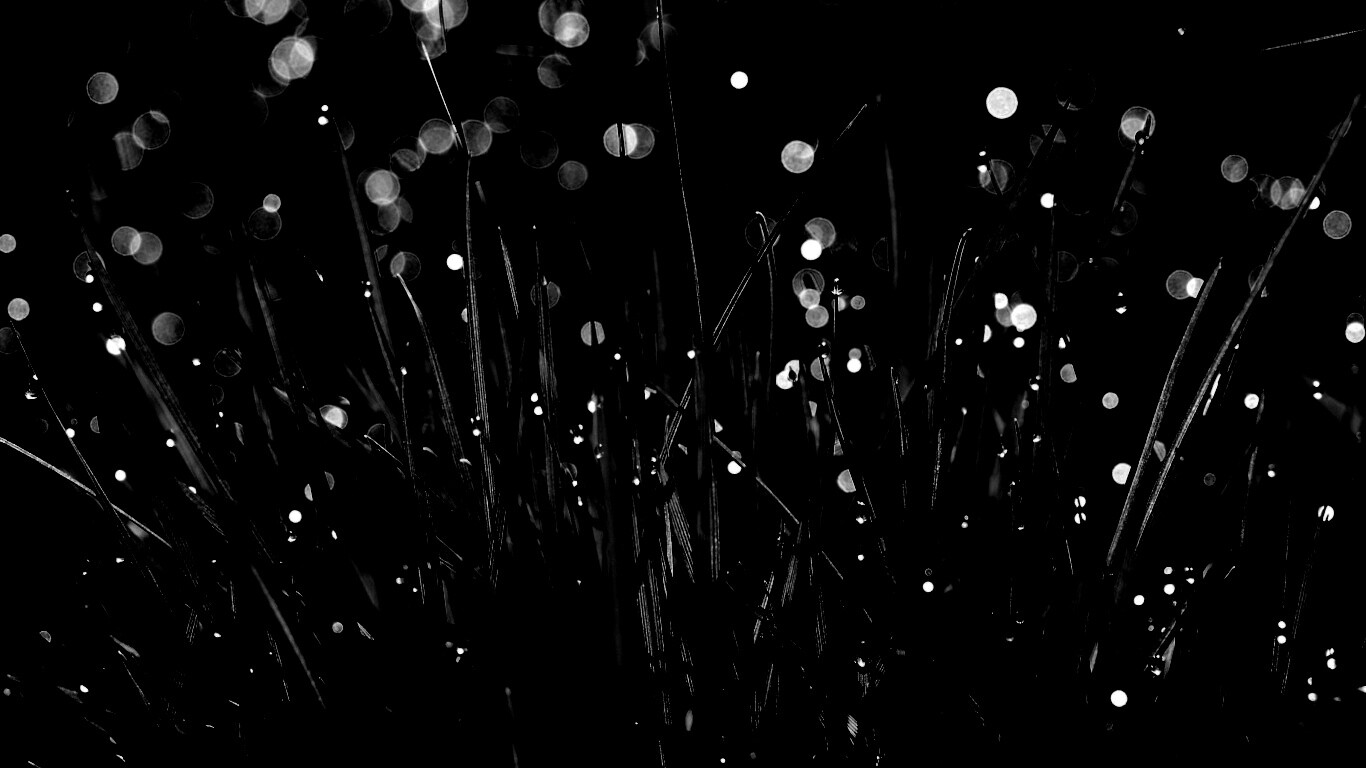 Трава ночью обои