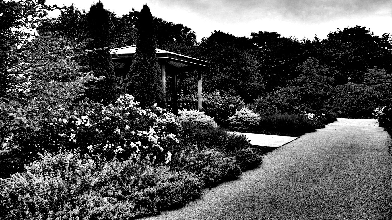 Ландшафтный дизайн обои