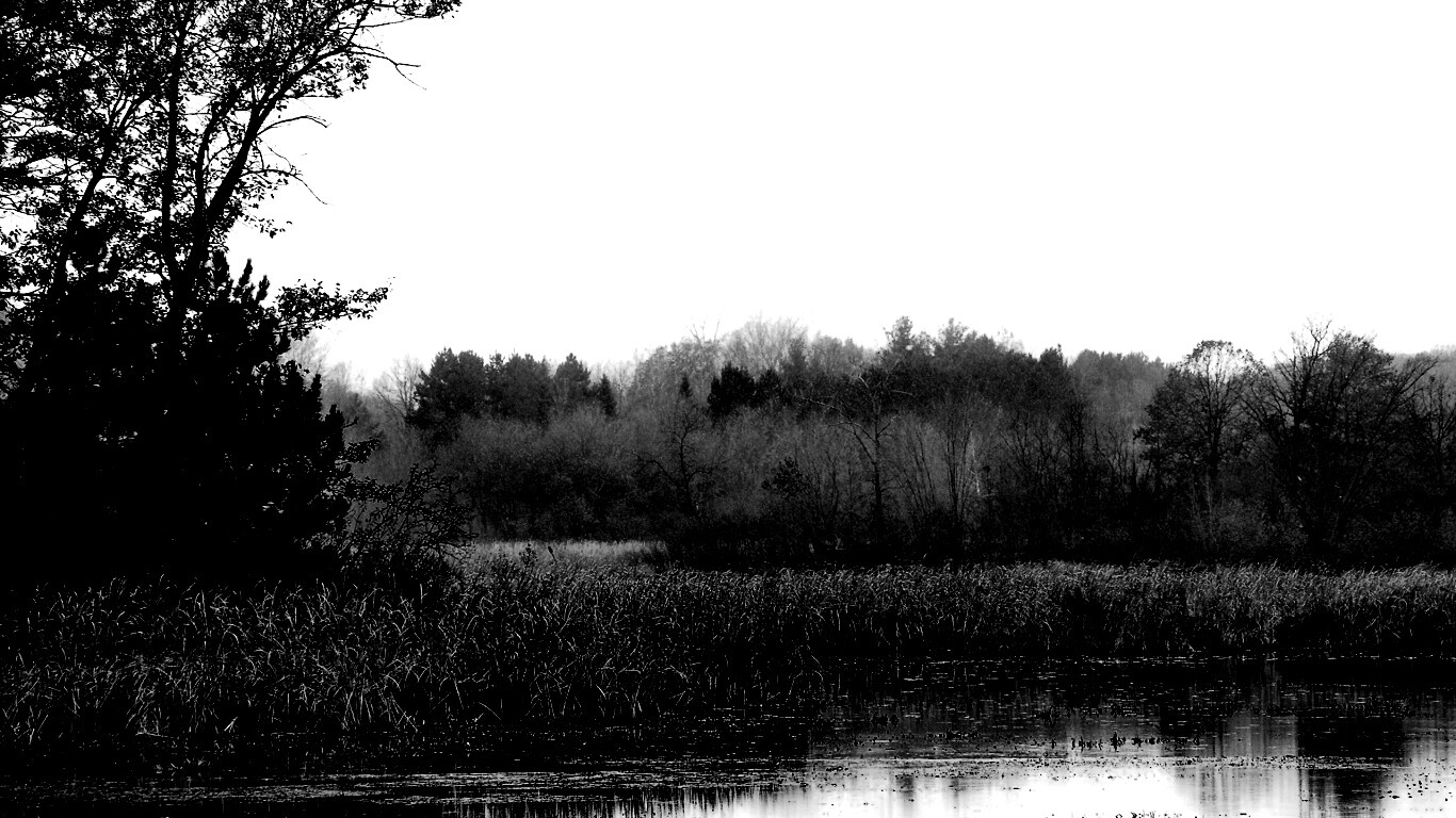 Живописные болота обои