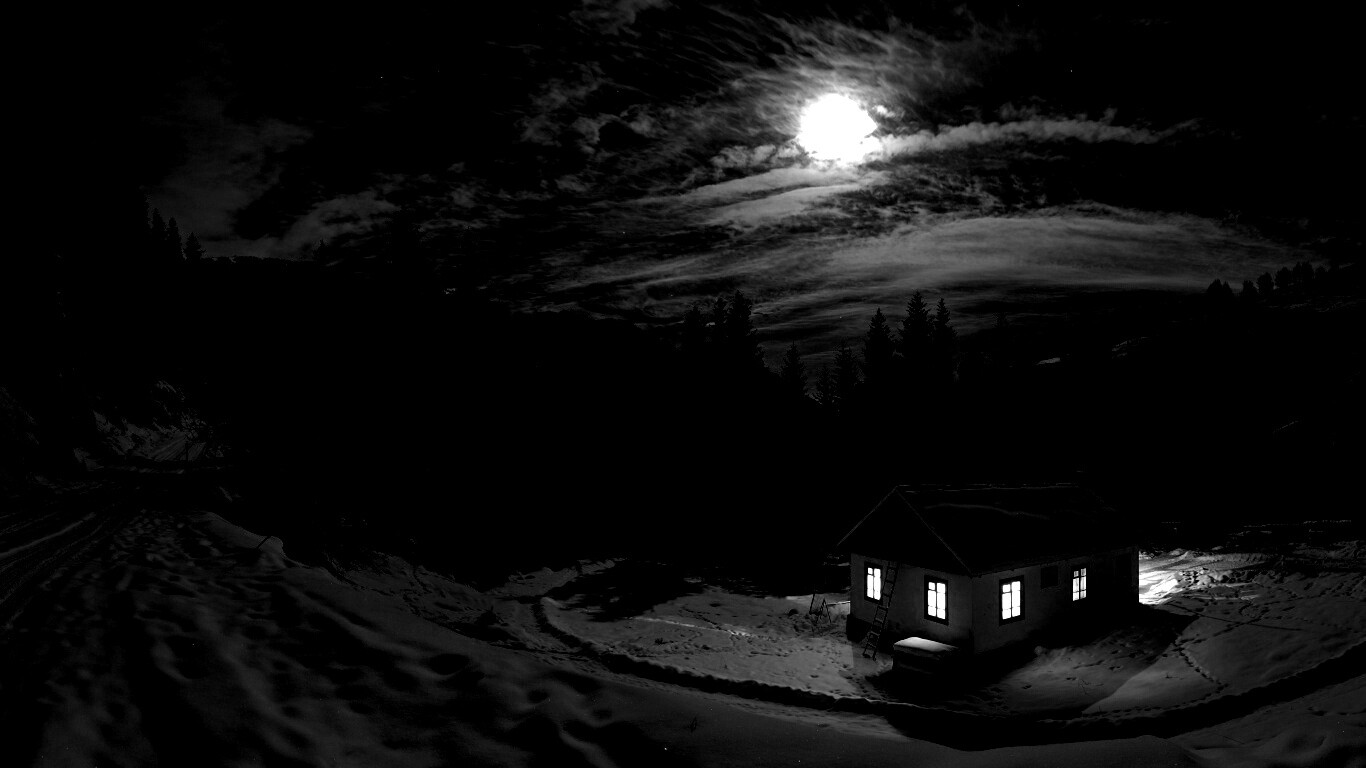 Один в зимнем лесу обои