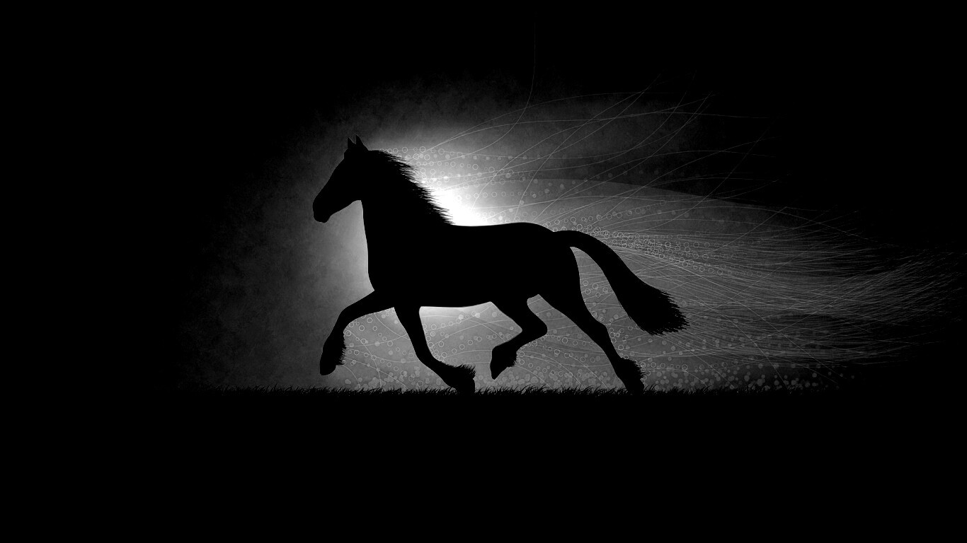 Силует коня на закате обои