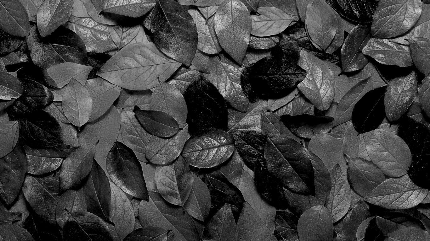 Цветной ковёр из листьев обои