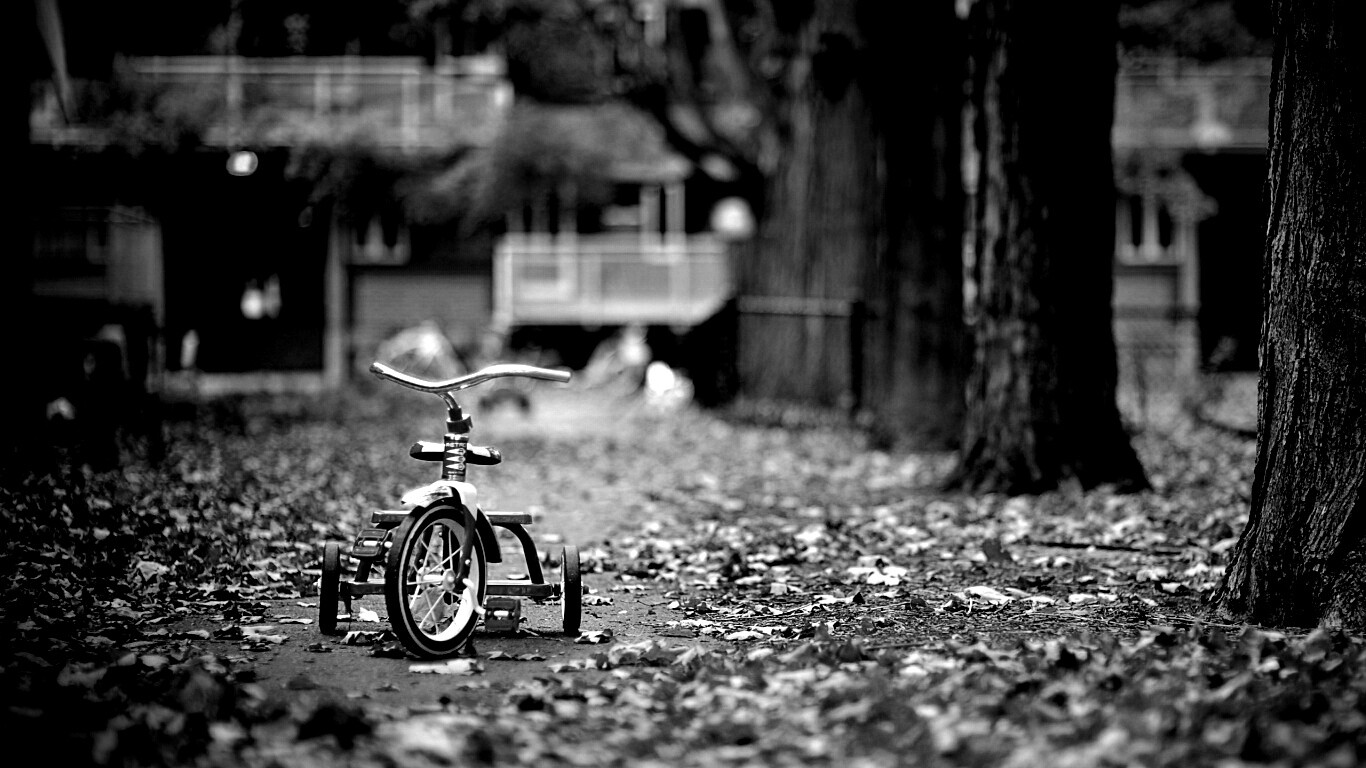 Трёхколёсный друг на осенней дорожке обои